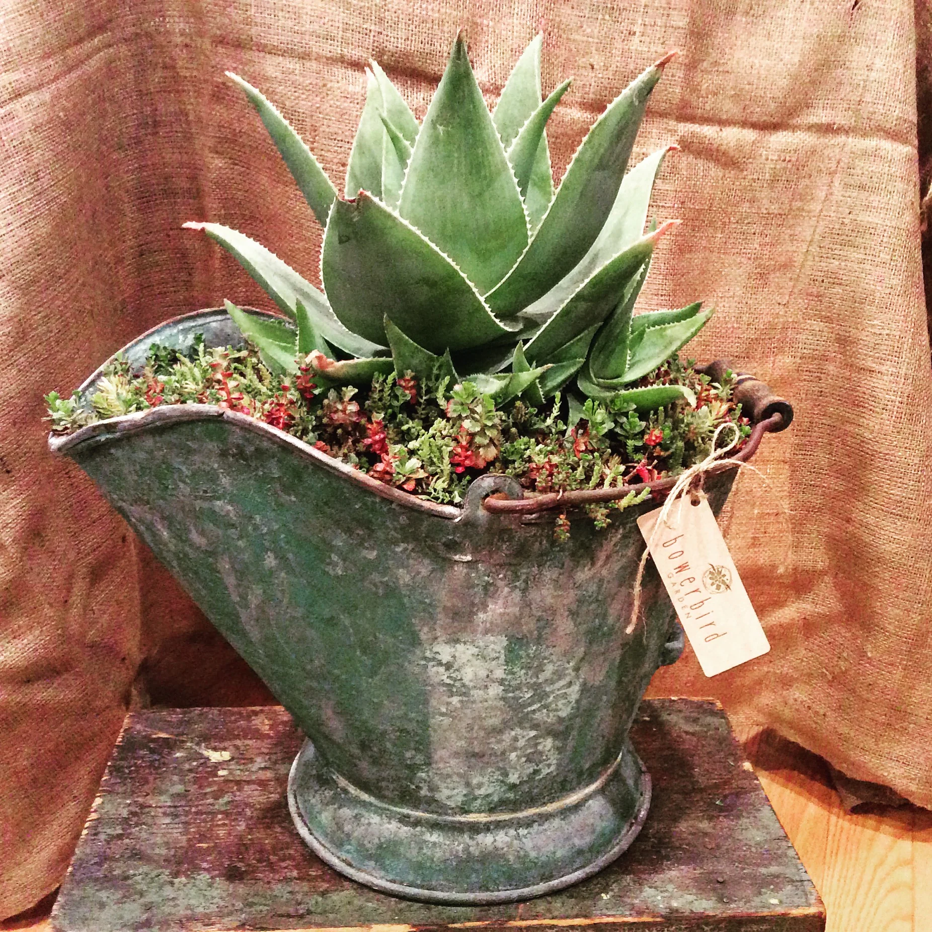 UPCYCLED COAL HOD
