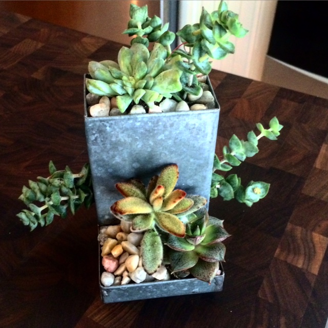 VINTAGE MATCHSTICK HOLDER