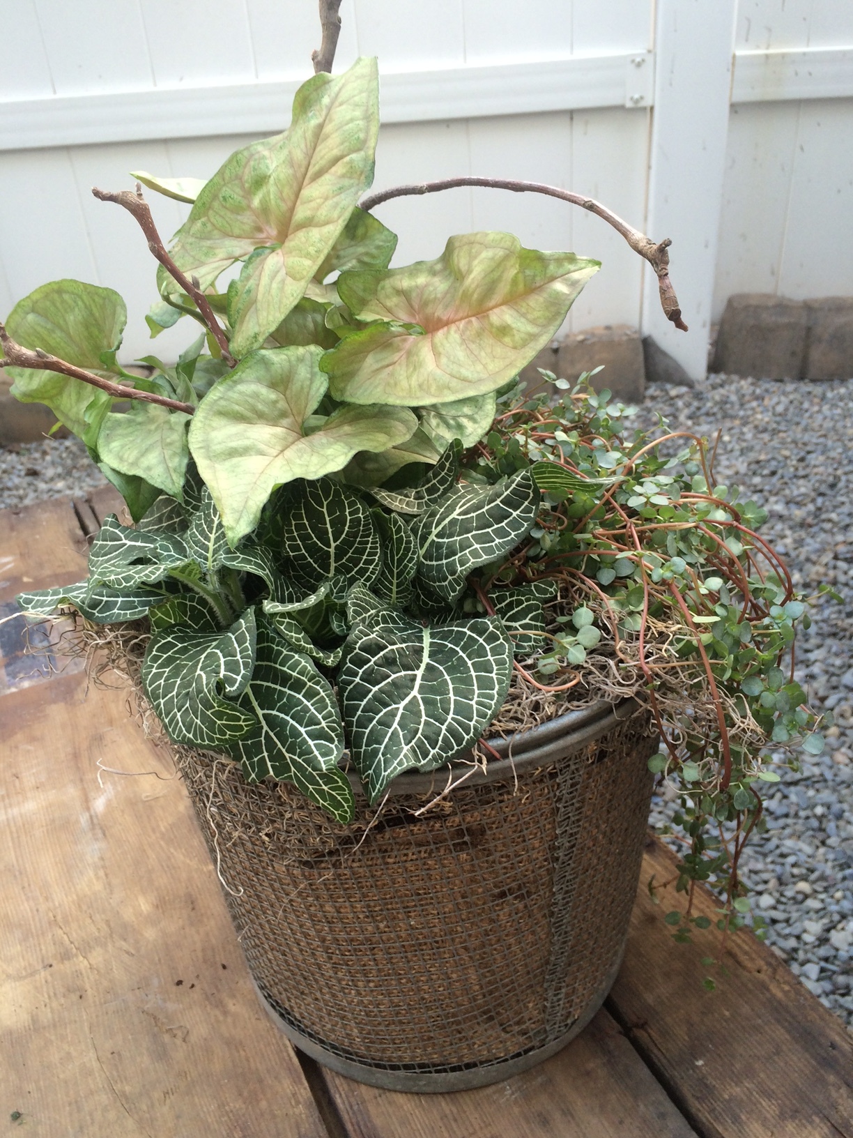 FISHING BAIT TRAP