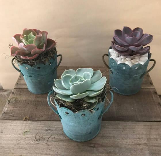 Green Scalloped Buckets