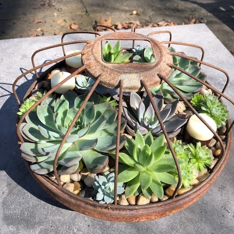 Vintage Chicken Feeder