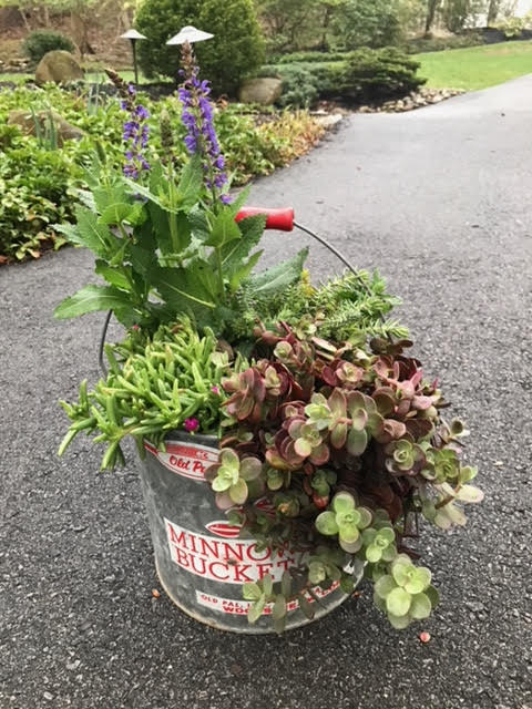 Bait Bucket