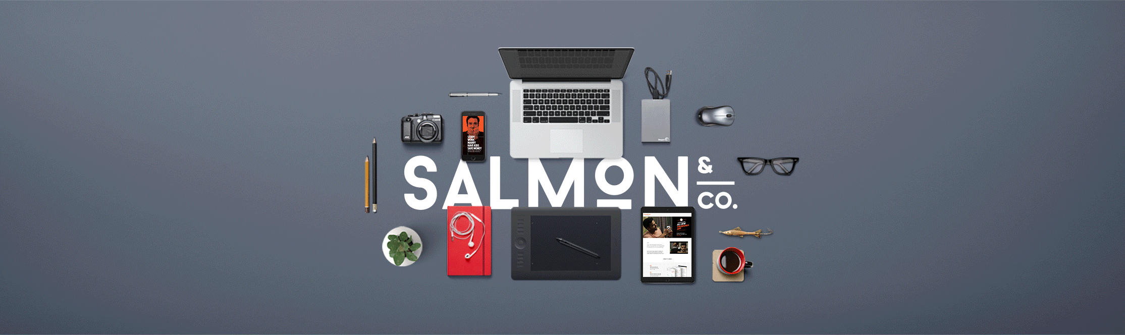 Salmon_our-work_01.gif