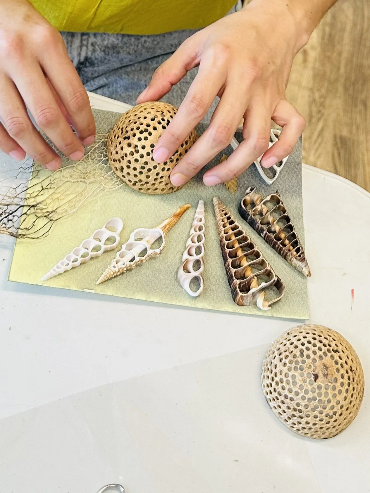 Intro to Cyanotype with Corasonora at Photographique Bishop Arts April 18th 11:30-3:30pm