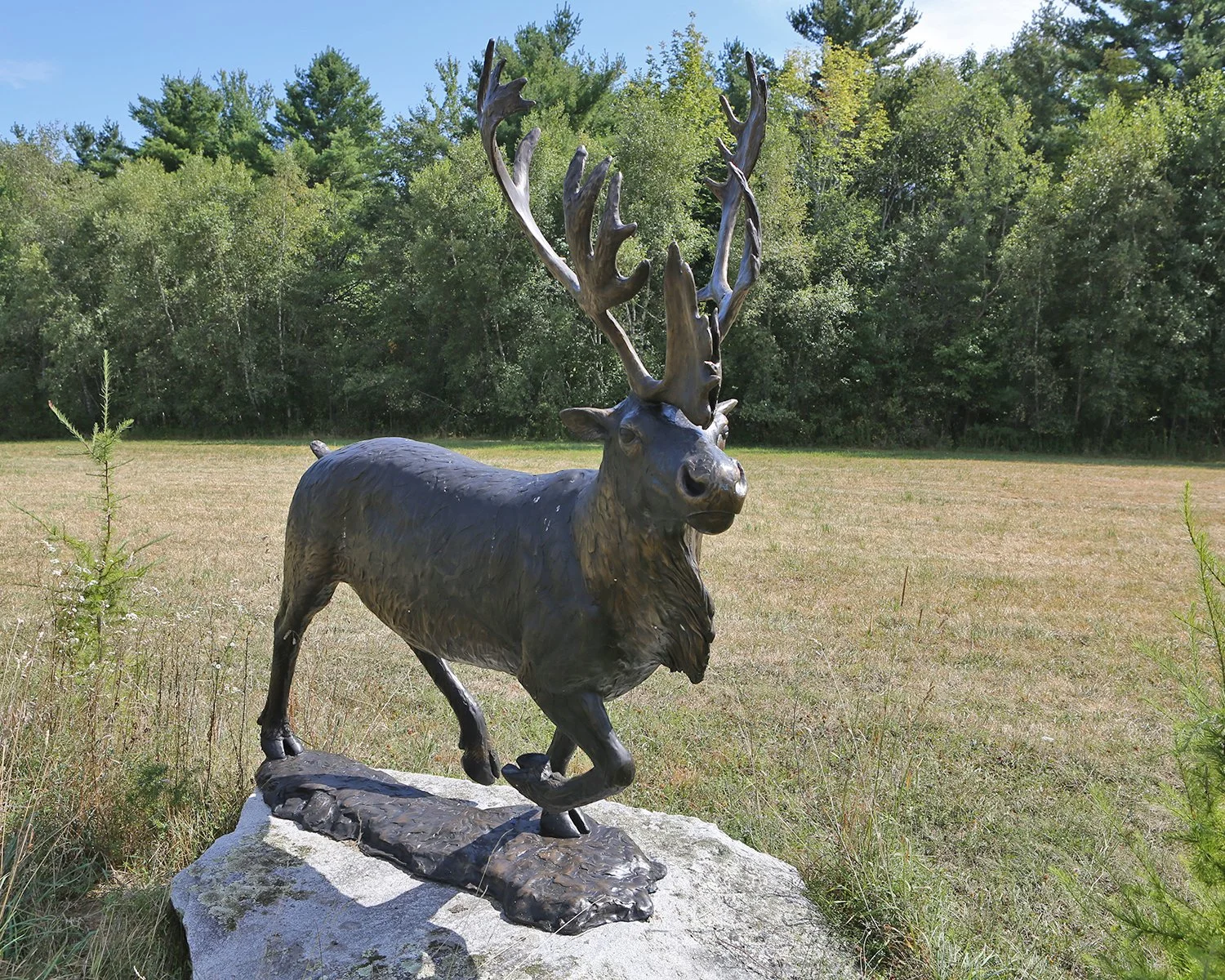 3L5B1885.jpg