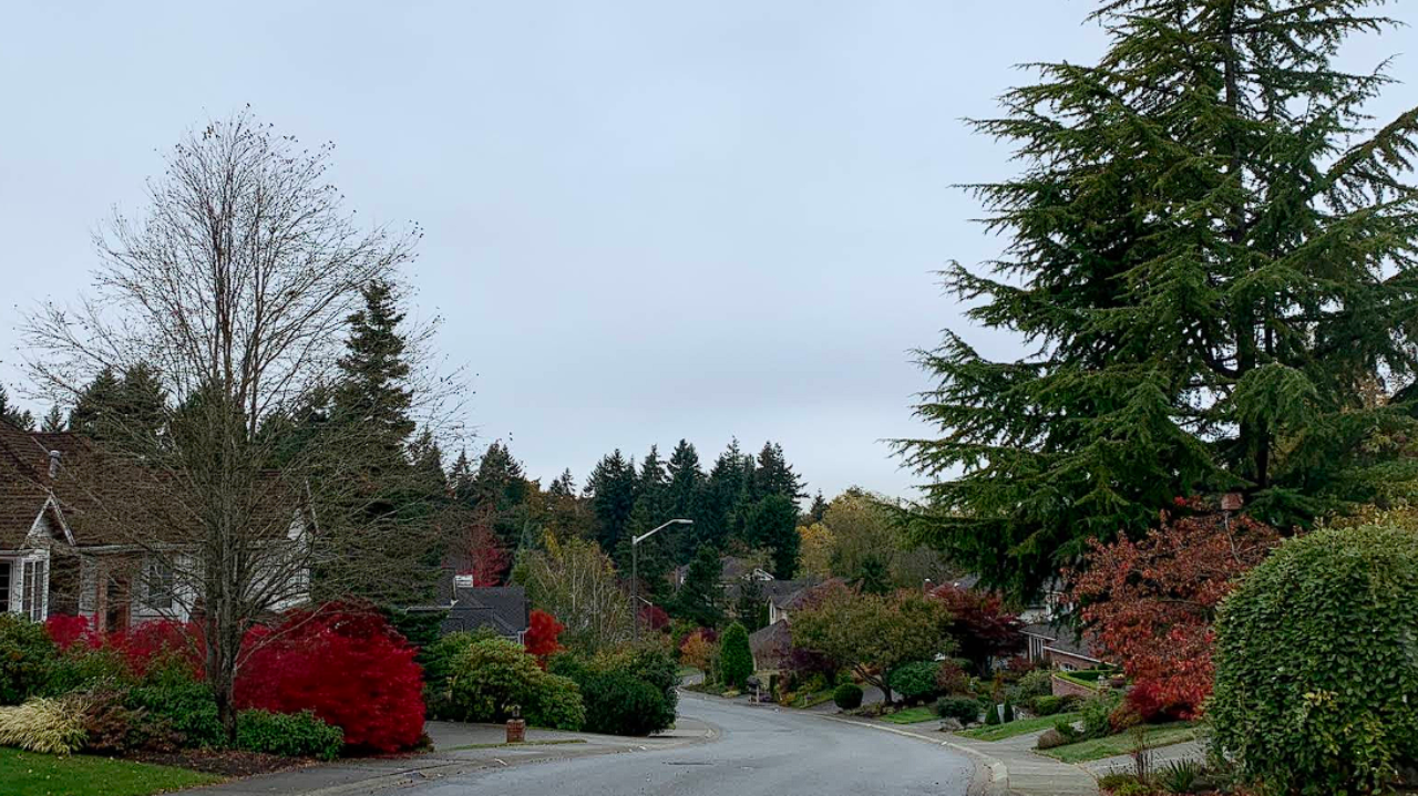 Madison Park Seattle.png