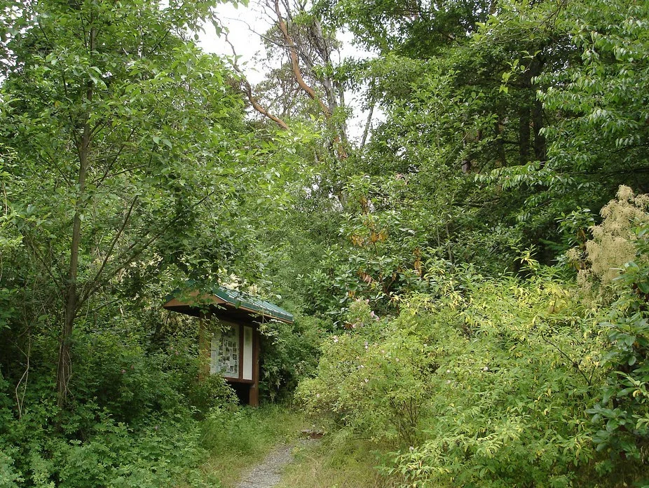 orchardstreet1-e1435186699229.jpg