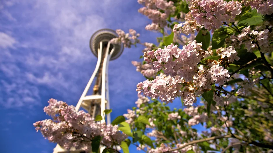Spring has sprung Seattle's real estate market is warming up again...