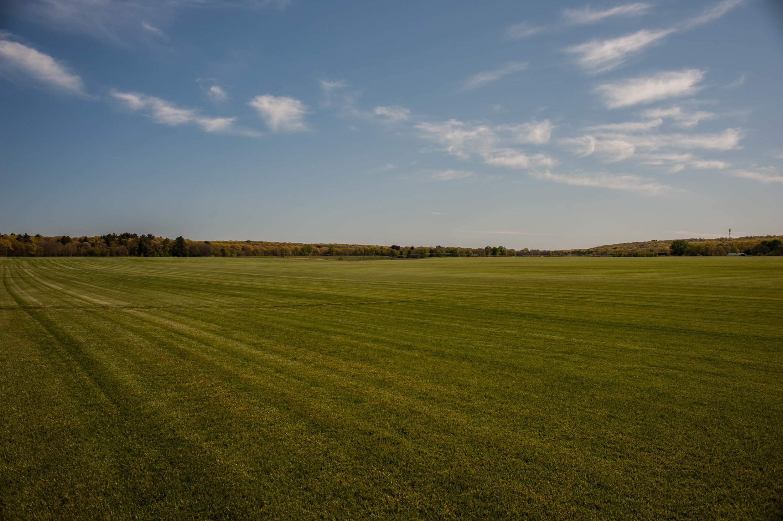 DSC_1470.jpg