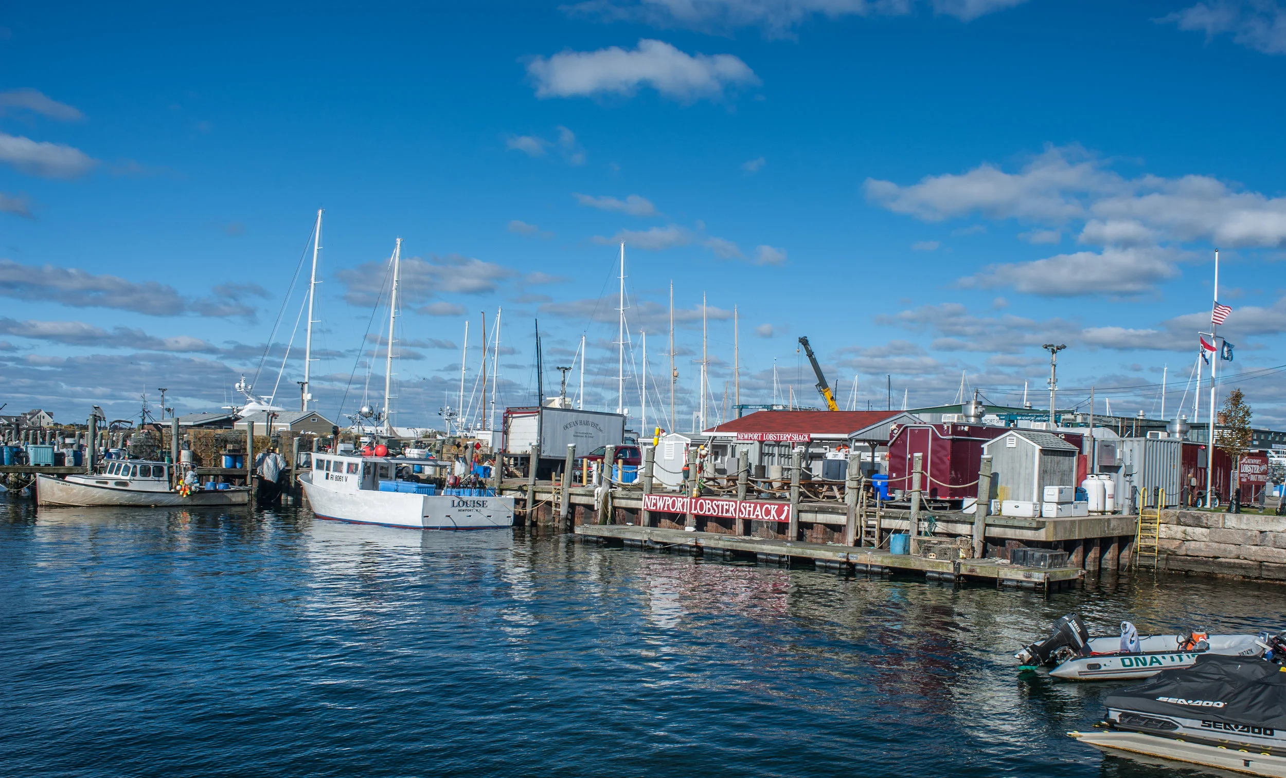 DSC_3788.jpg