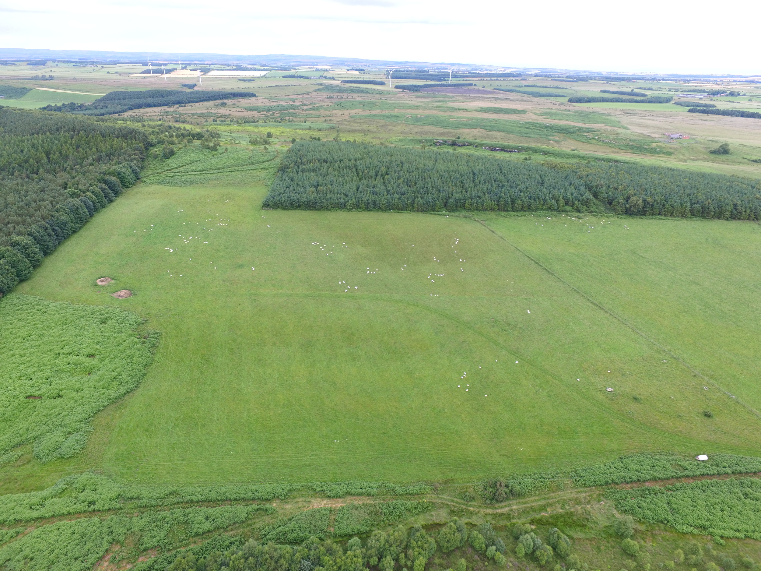 Doddington Moor looking north.jpg