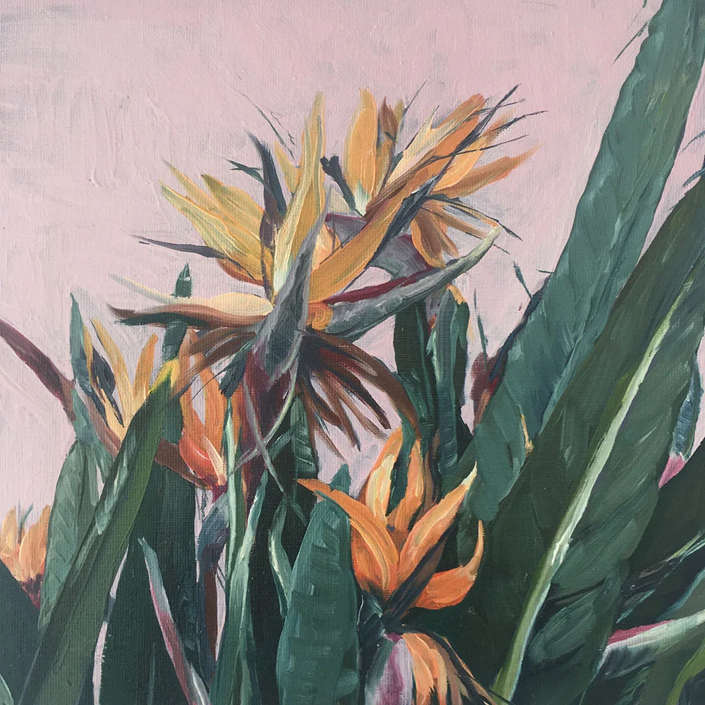 Bachelor in Paradise-LR.jpg