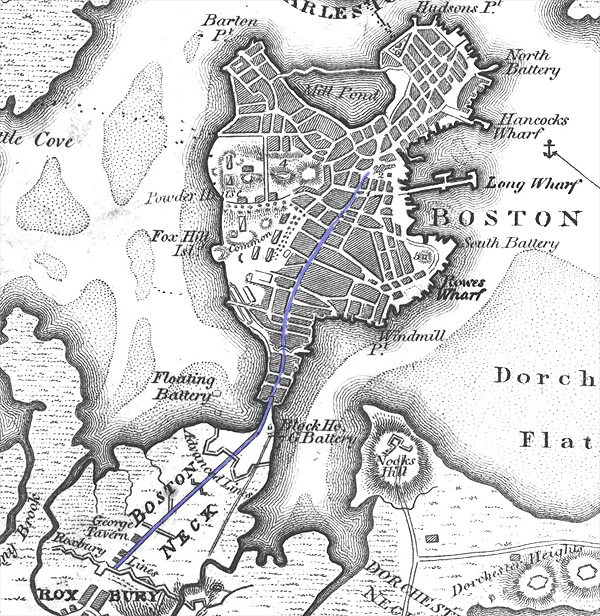 Boston Neck.