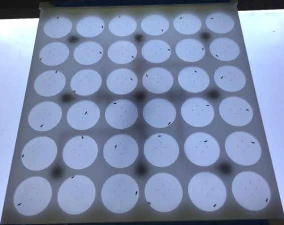 2D platform picture.JPG