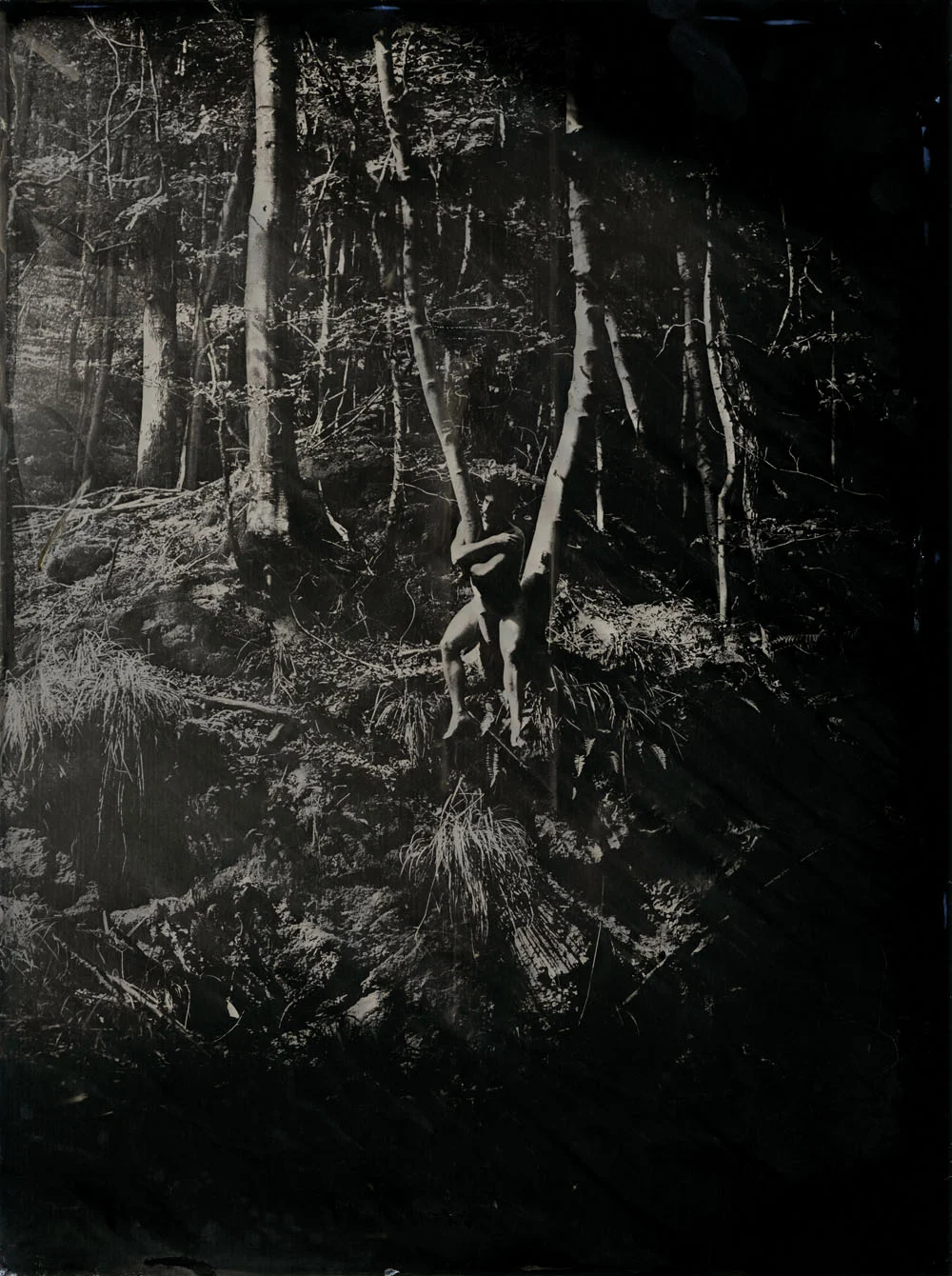 collodion2.jpg