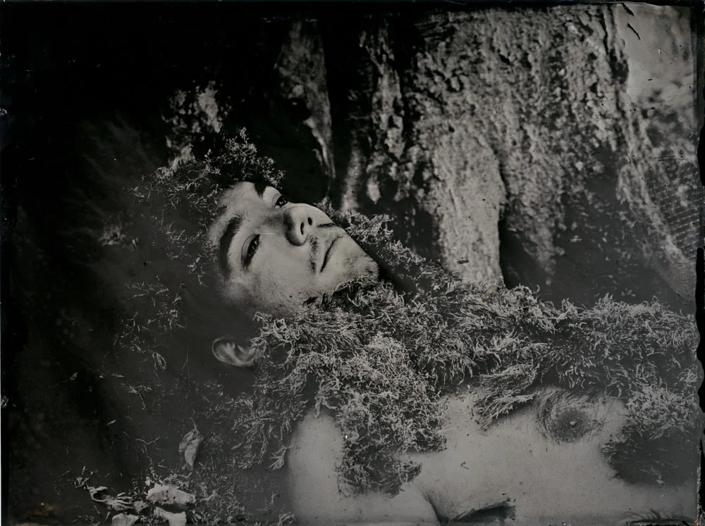 collodion193.jpg