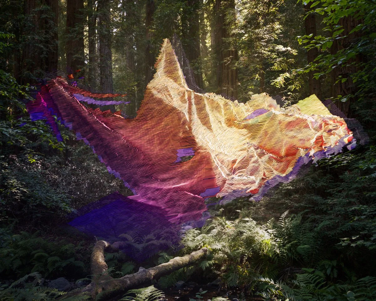 untitled21 , Archival Pigment Print, 32″x40″, 2012