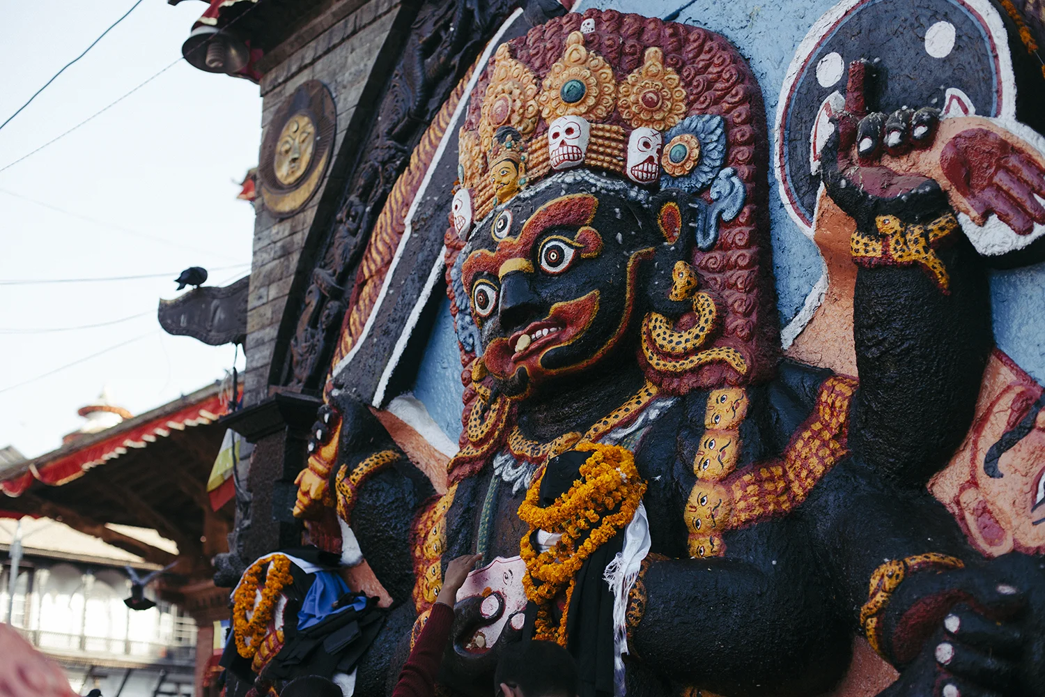 _MG_2446.jpg