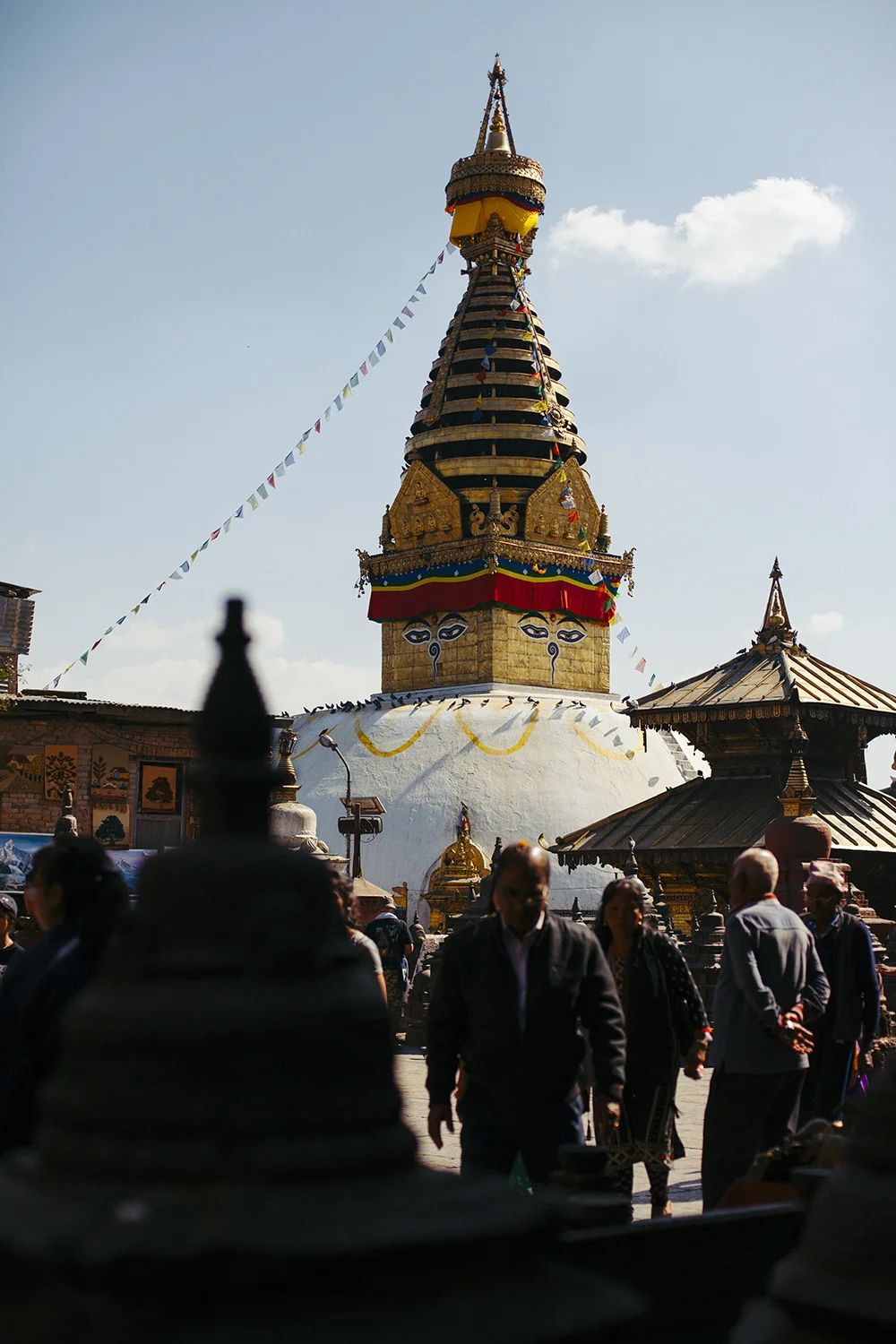 _MG_2302.jpg