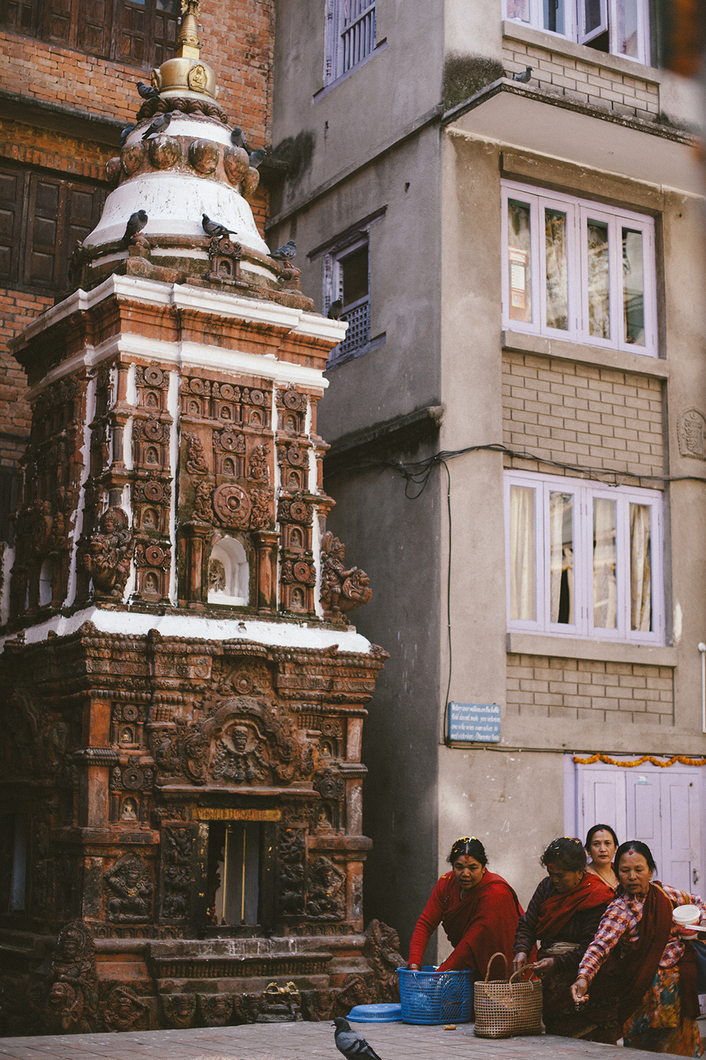 _MG_3049.jpg