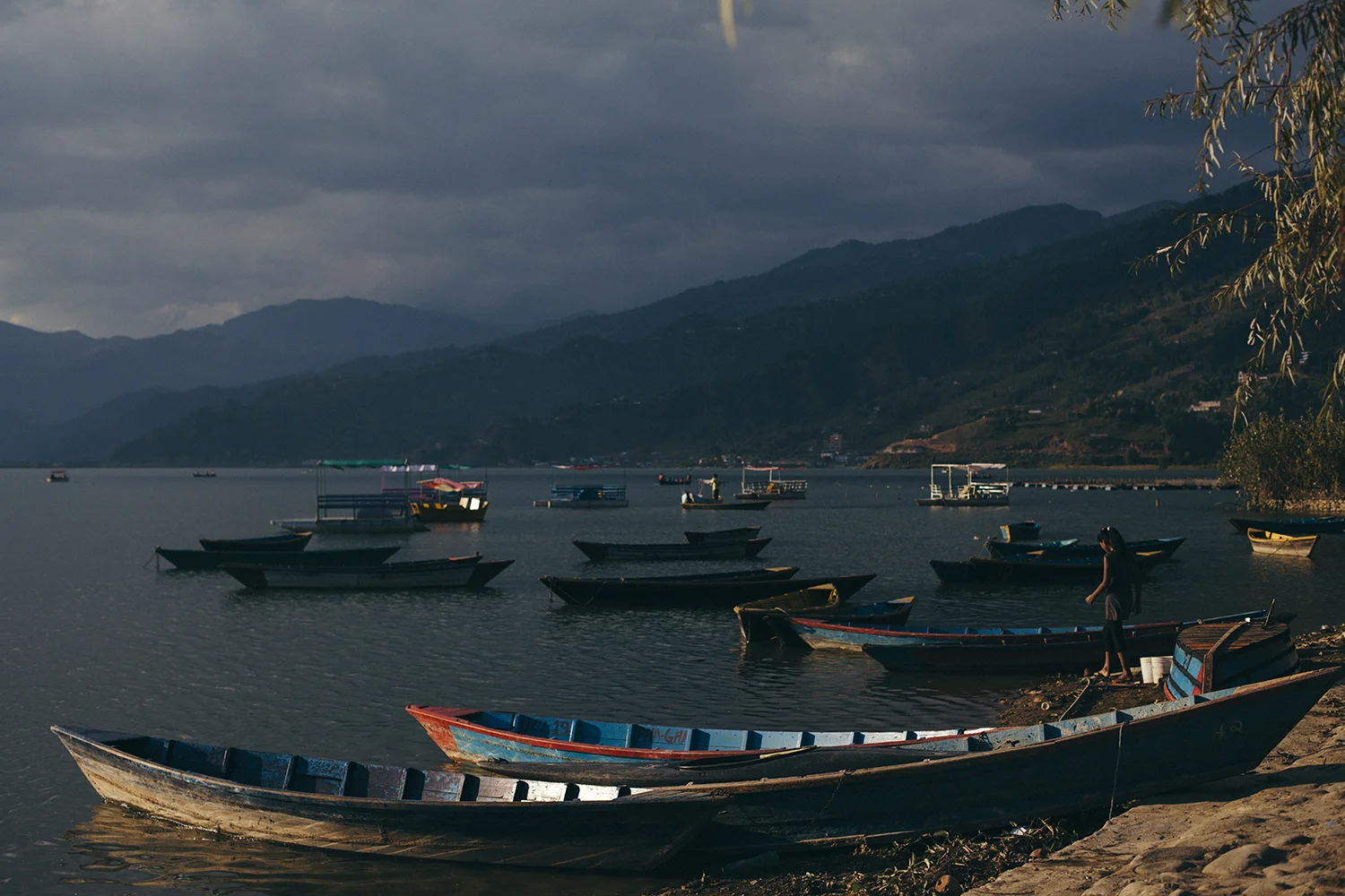 _MG_3477.jpg