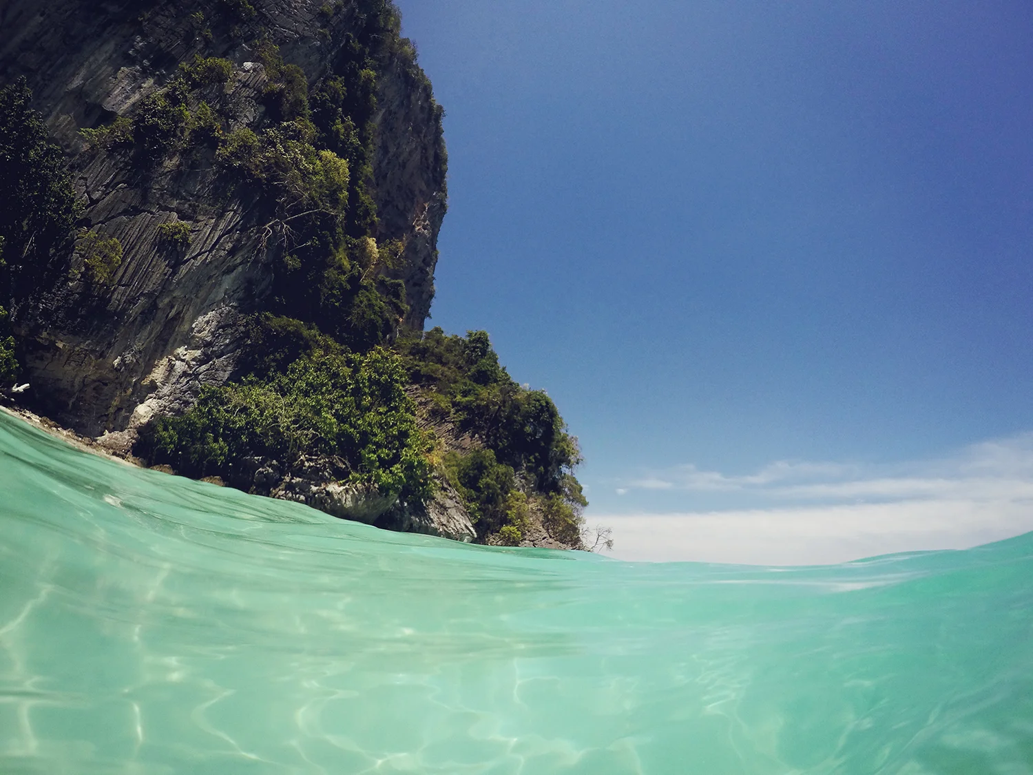 Before You Go on Phi Phi Island Tour ...