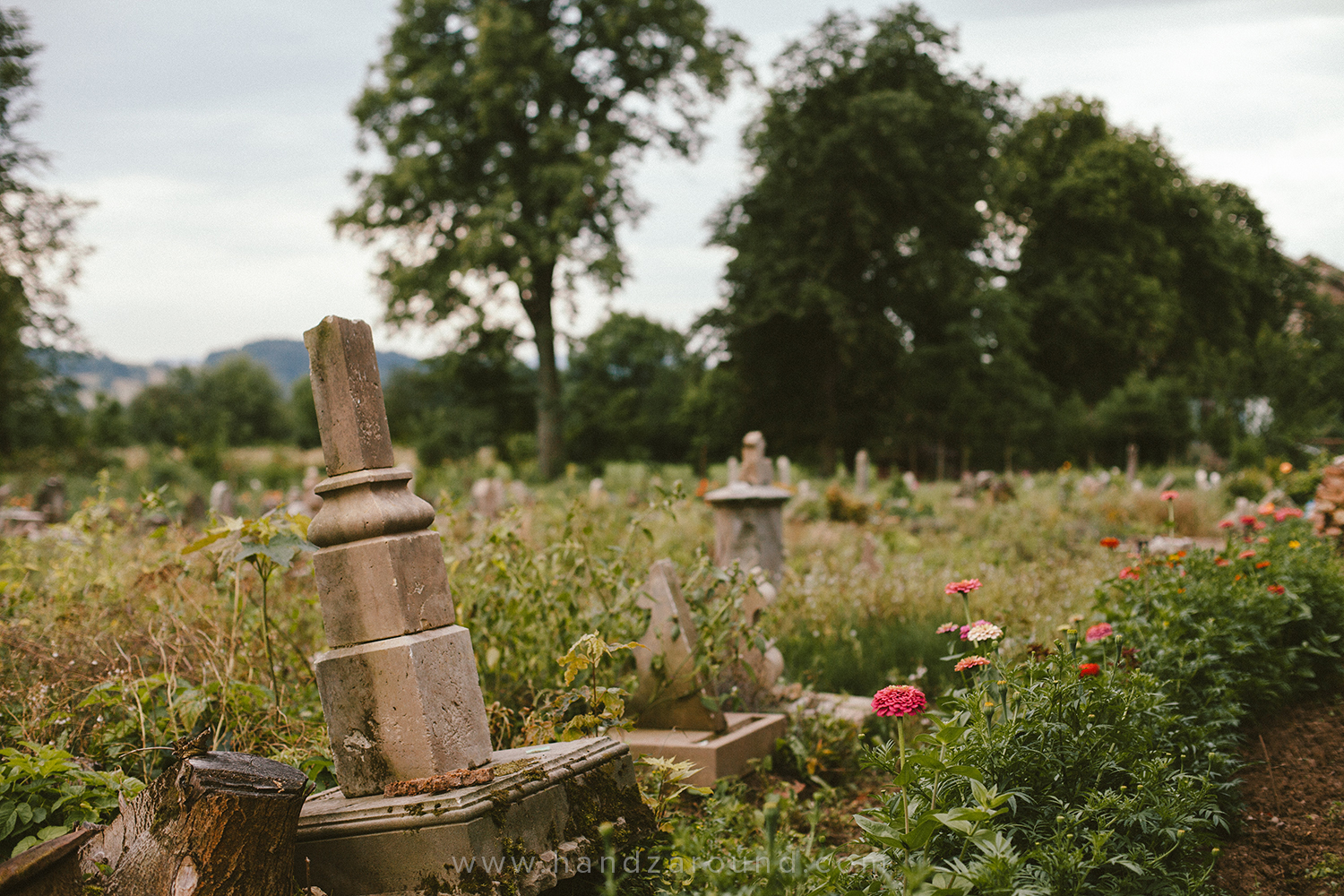 Cemetery in Gostkow - full of stories and beautiful flowers