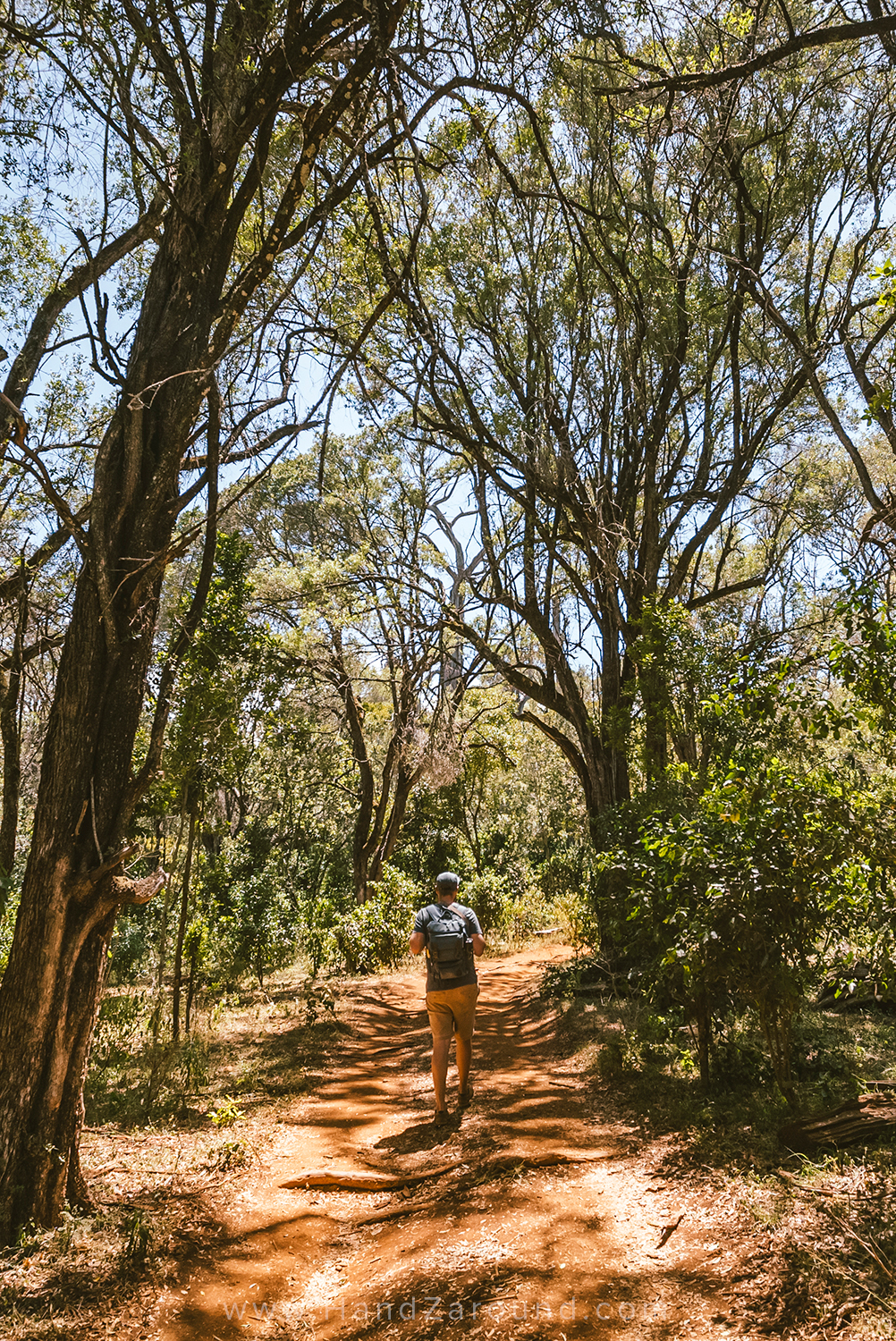 004_HANDZAROUND_NGARE_NDARE_FOREST_WATERFALL_NRT_THE_BIG_NORTH_LAIKIPIA_KENYA_AFRICA.jpg