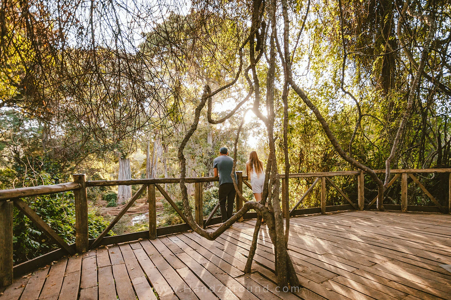 008_HANDZAROUND_NGARE_NDARE_FOREST_CANOPY_WALK_NRT_THE_BIG_NORTH_LAIKIPIA_KENYA_AFRICA.jpg