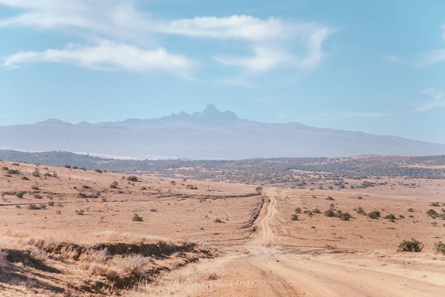 013_HANDZAROUND_NGARE_NDARE_FOREST_animals_lewa_borana_conservnacy_NRT_THE_BIG_NORTH_LAIKIPIA_KENYA_AFRICA.jpg