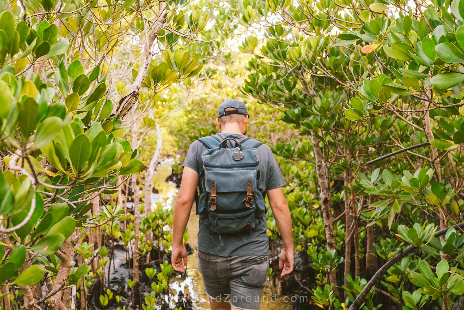 What to Pack For Long Term Travel On A Budget HandZaround — HandZaround