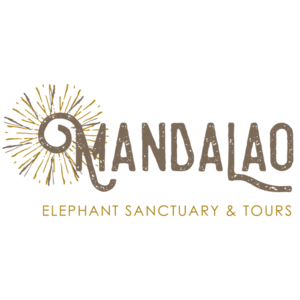 Manda+Lao+elephant+sanctuary+Laos+Luang+Prabang+Handzaround.png