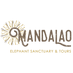 Manda+Lao+elephant+sanctuary+Laos+Luang+Prabang+Handzaround.png
