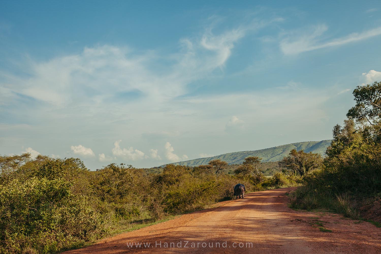 114_HandZaround_Akagera_African_Parks_Rwanda_East_Africa.jpg