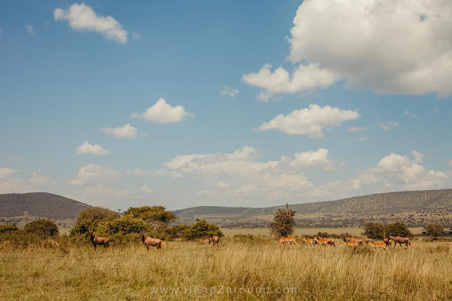 089_HandZaround_Akagera_African_Parks_Rwanda_East_Africa.jpg