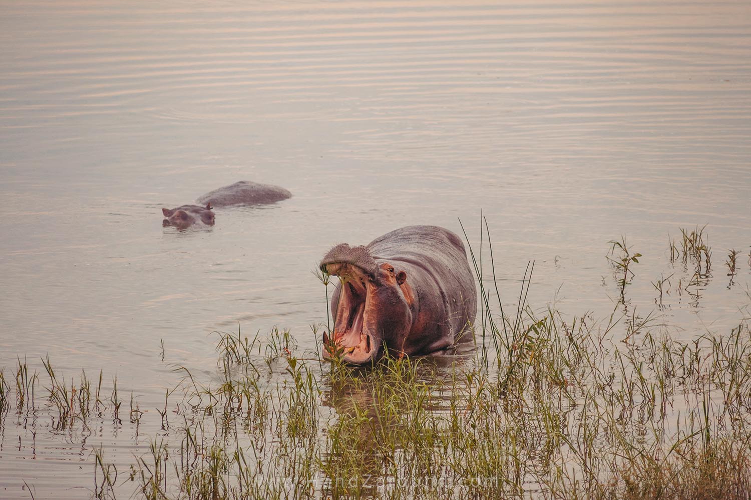 132_HandZaround_Akagera_African_Parks_Rwanda_East_Africa.jpg