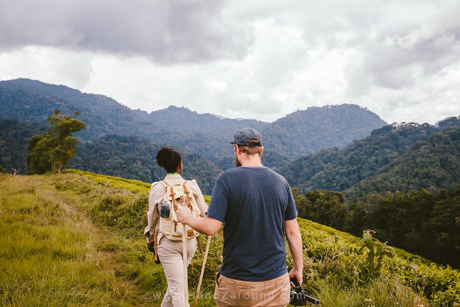 14_Nyungwe_Forest_Rwanda_HandZaround_What_Do_Where_To_Stay_Prices_Chimpanzee.jpg