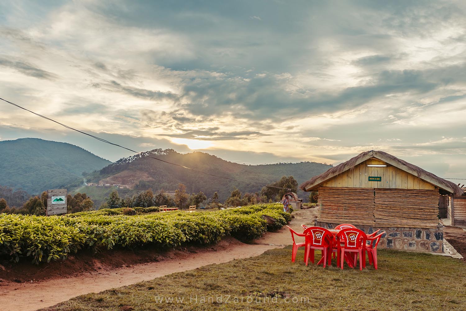 46_Nyungwe_Forest_Rwanda_HandZaround_What_Do_Where_To_Stay_Prices_Chimpanzee.jpg