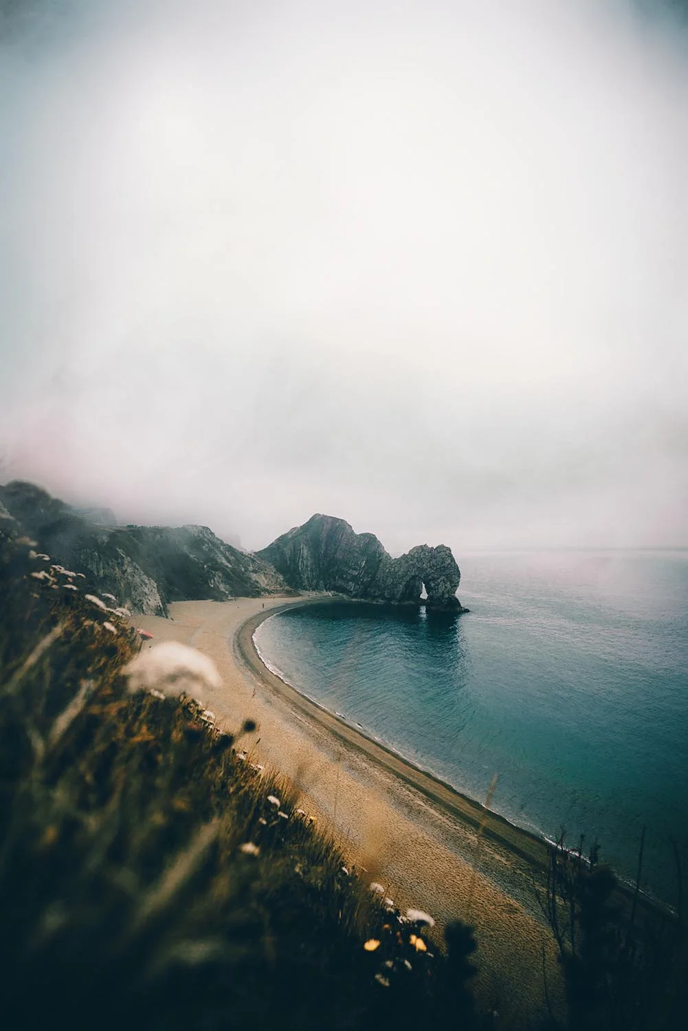 by Jose Llamas