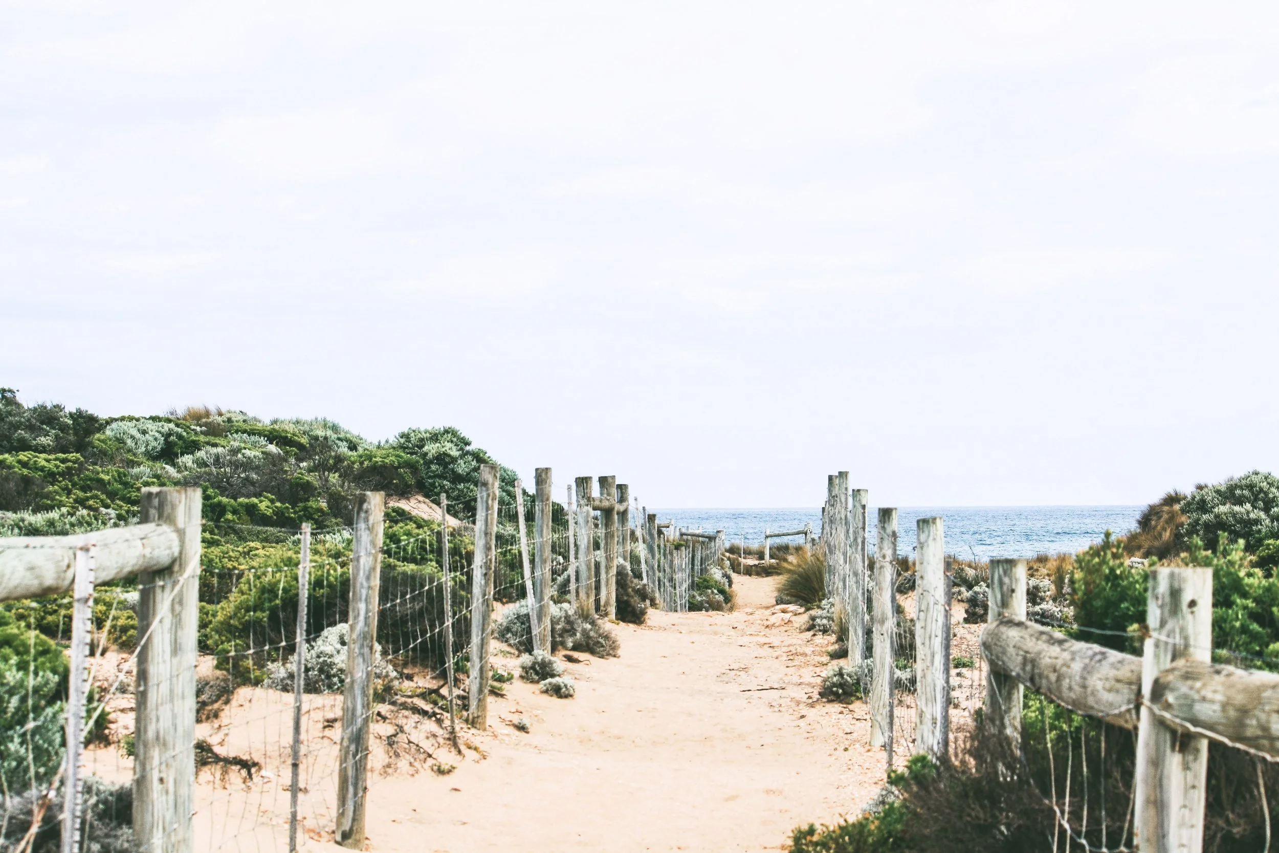 The Freedom of Travel