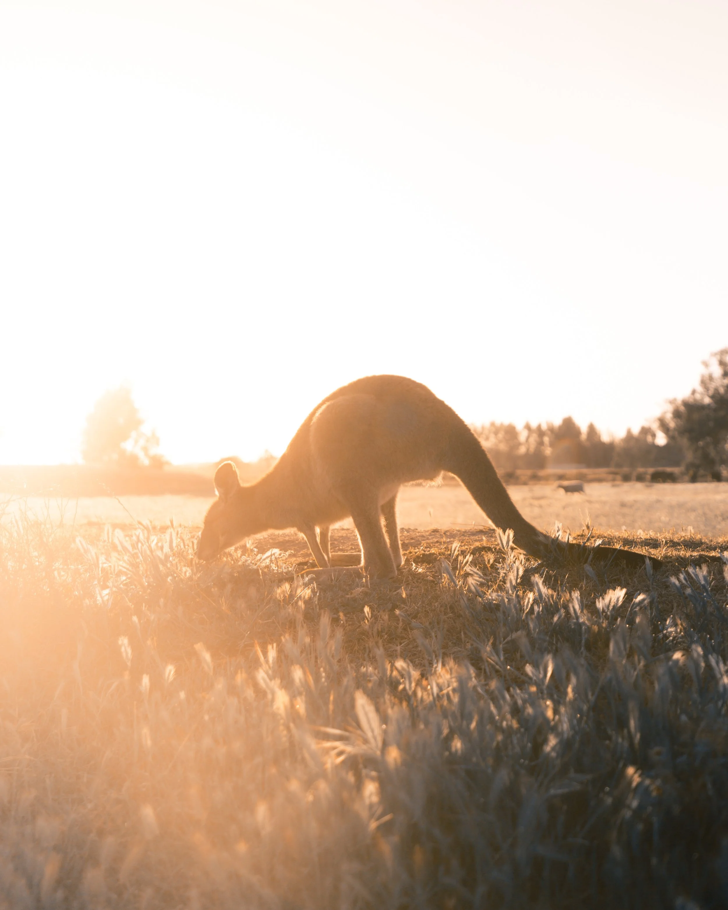 07_HandZaround_Why_Australia_is_your_next_vacation_destination.jpg