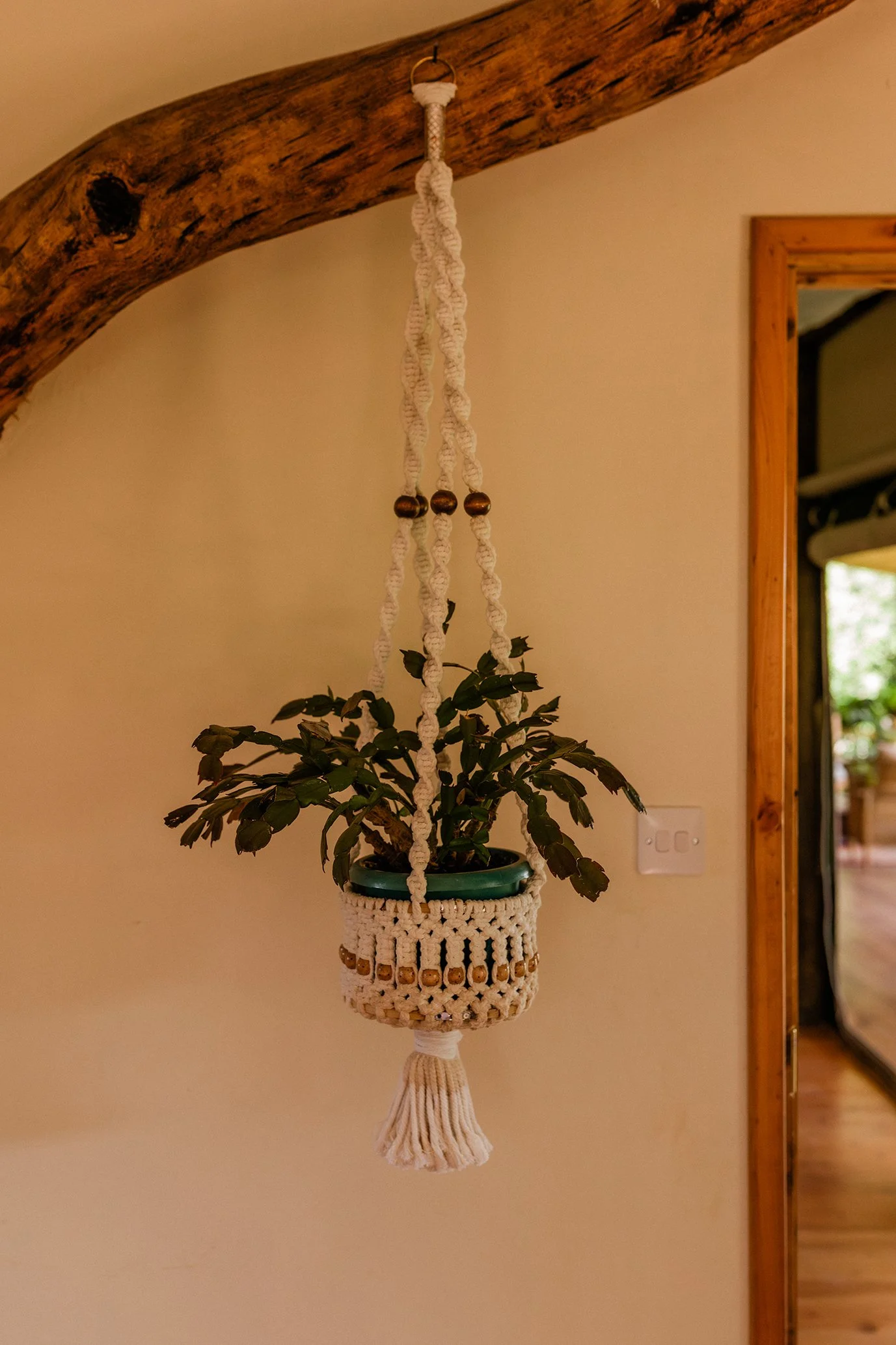 handzaround_ol-pejeta-safari-cottages_family-safari-kenya_details.jpg