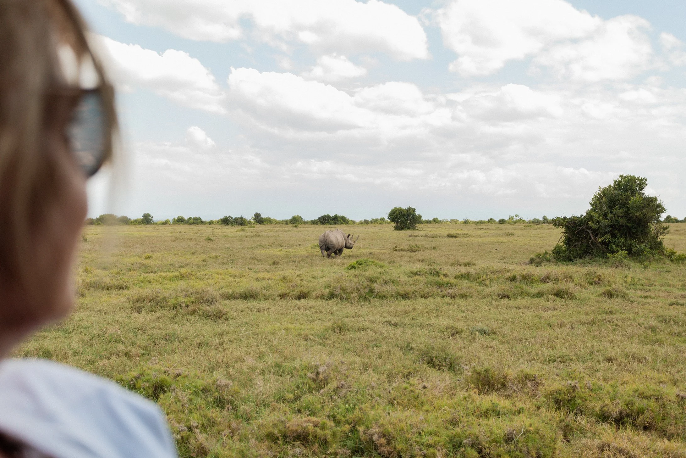 handzaround_ol-pejeta-safari-cottages_family-safari-kenya_rhino.jpg