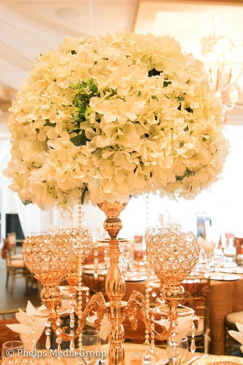 WNGC+Wedding+September+2017-3.jpg