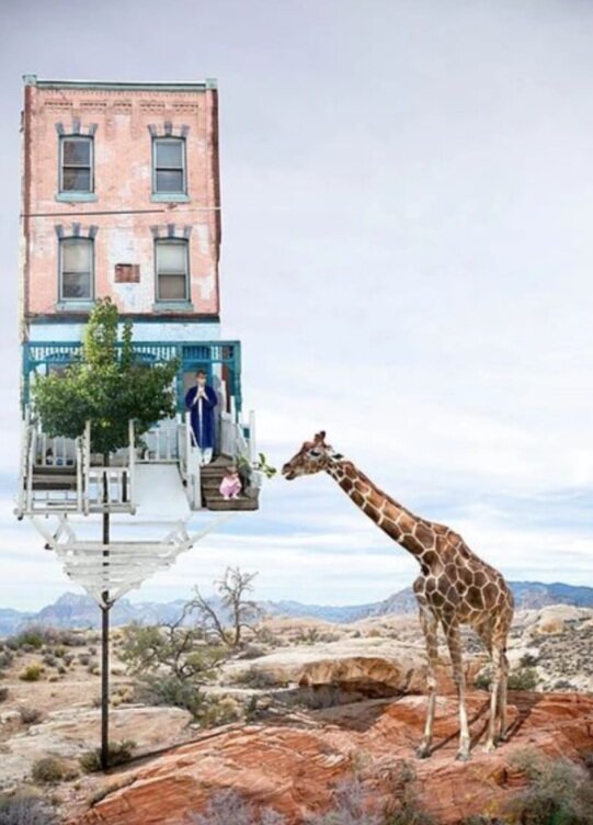   Honey the Giraffe is Back   Katie Harrold  Limited Edition Digital Collage  Sourced from USA 