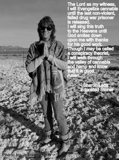 Photo by jeannie herer, Death Valley, Fall 2015 (jack was with us in spirit)