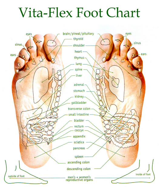 Vita-Flex_FootChart.png