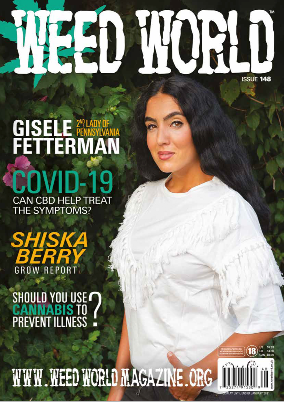 Gisele Fetterman WW cover.png