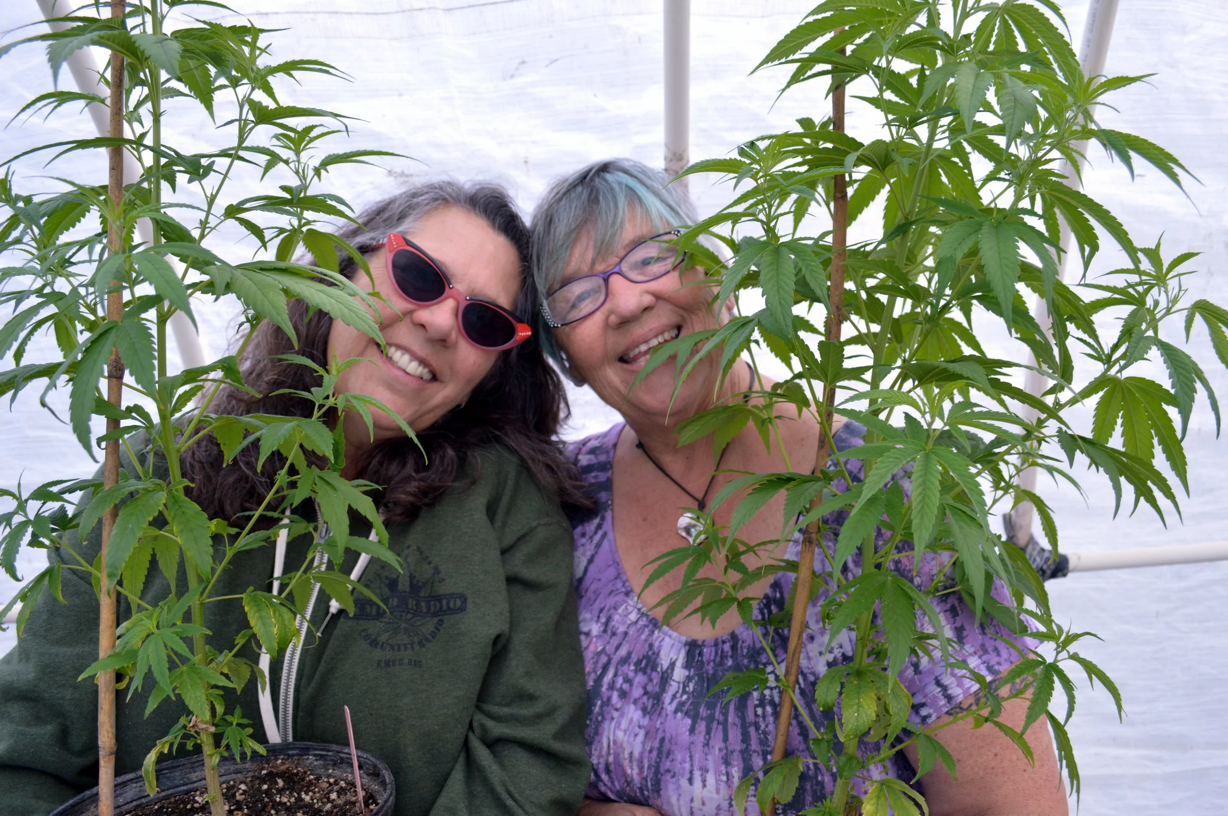 BudSisters_SLetts (6).JPG