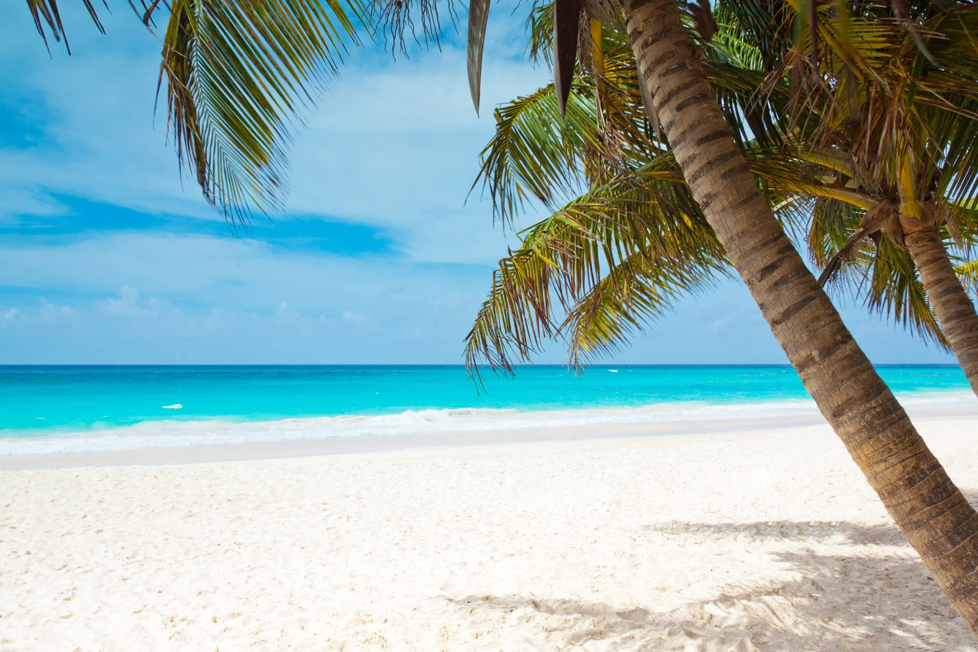 tropical-paradise.jpg